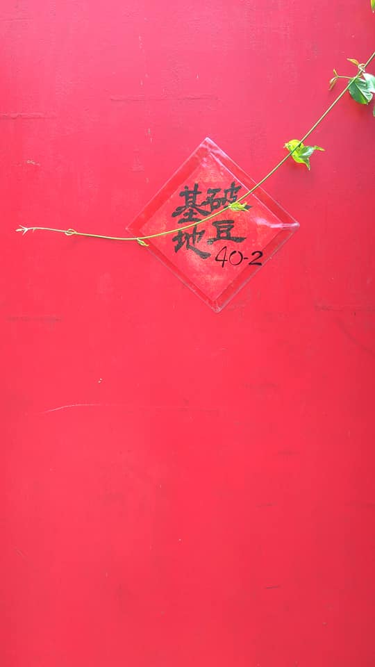 破豆基地-15