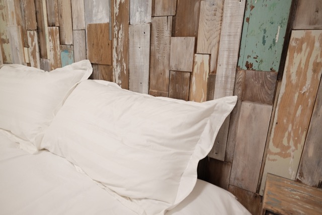 花蓮好書室民宿1