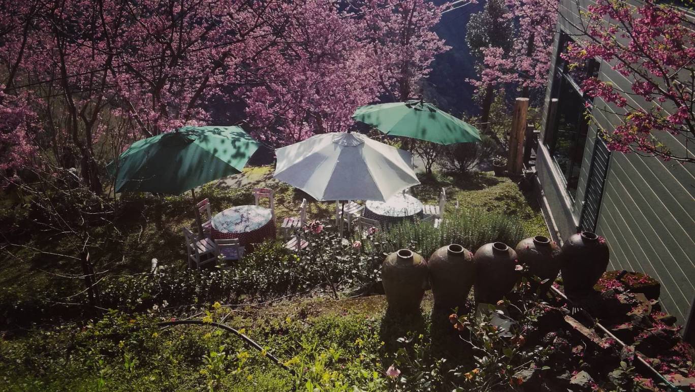 二馬山莊11