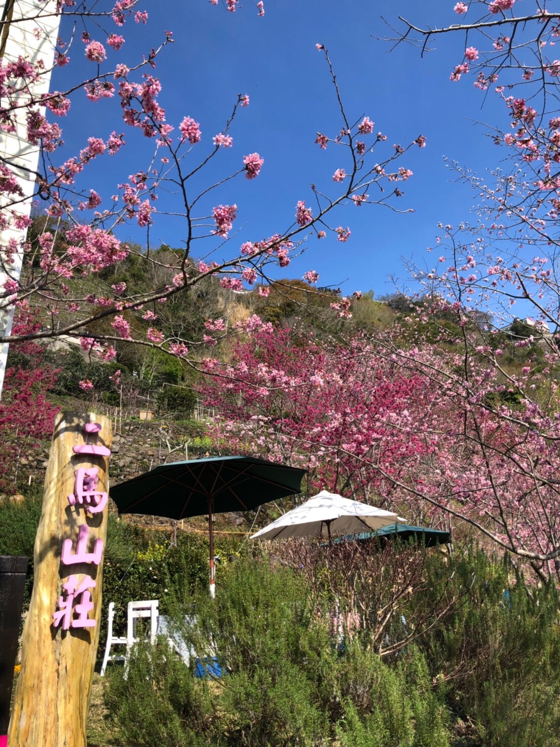 二馬山莊21