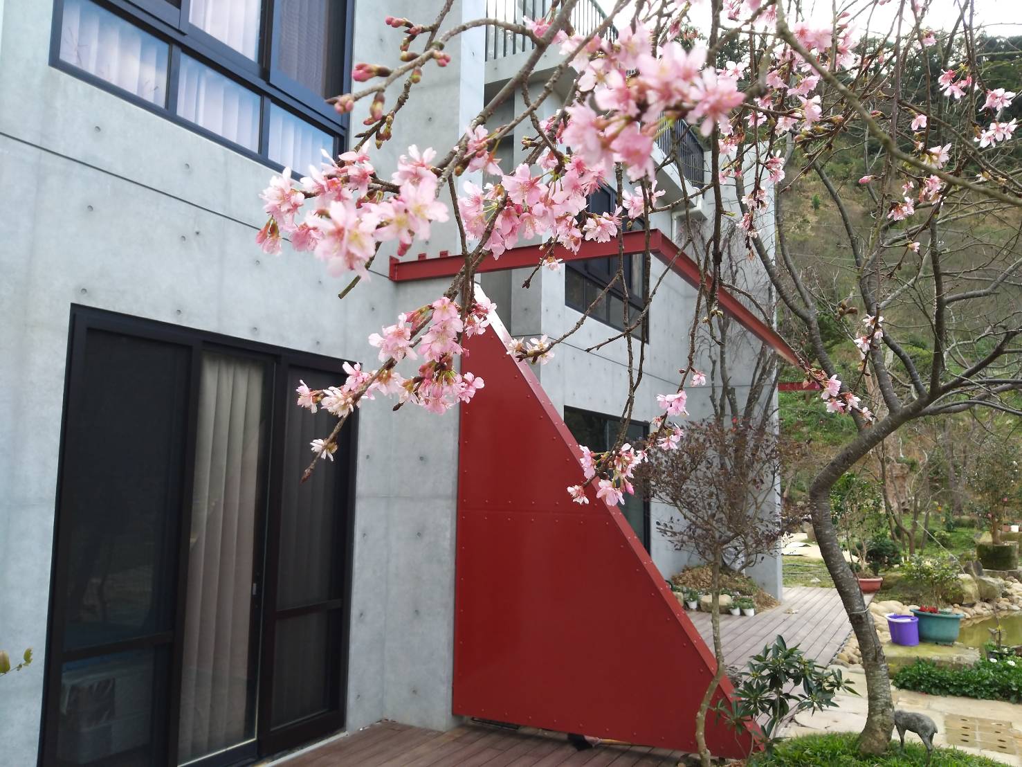 新櫻花莊園6