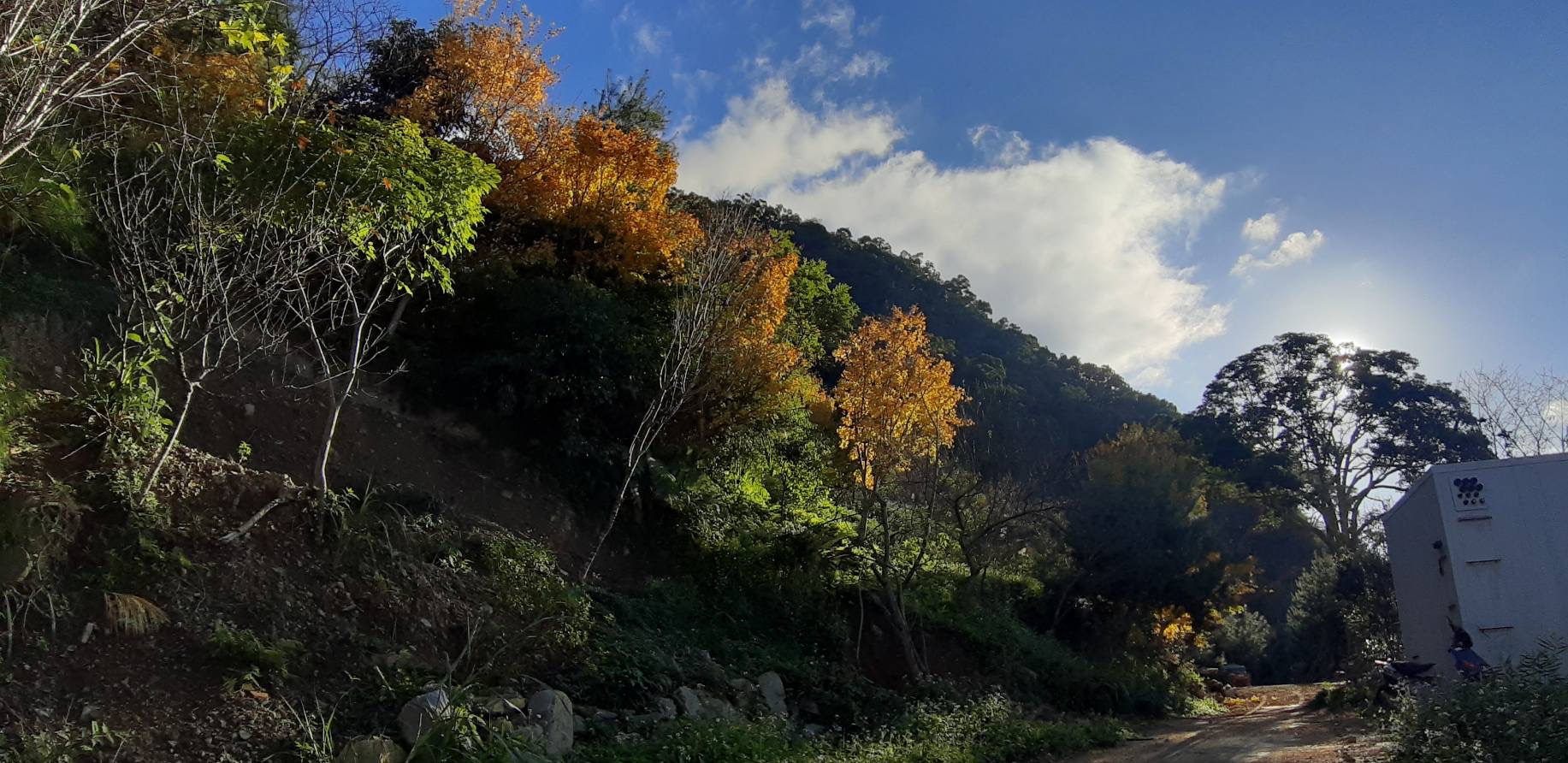 新櫻花莊園9