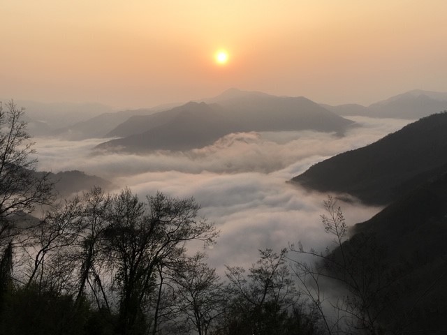 佳儂景觀休憩農場19