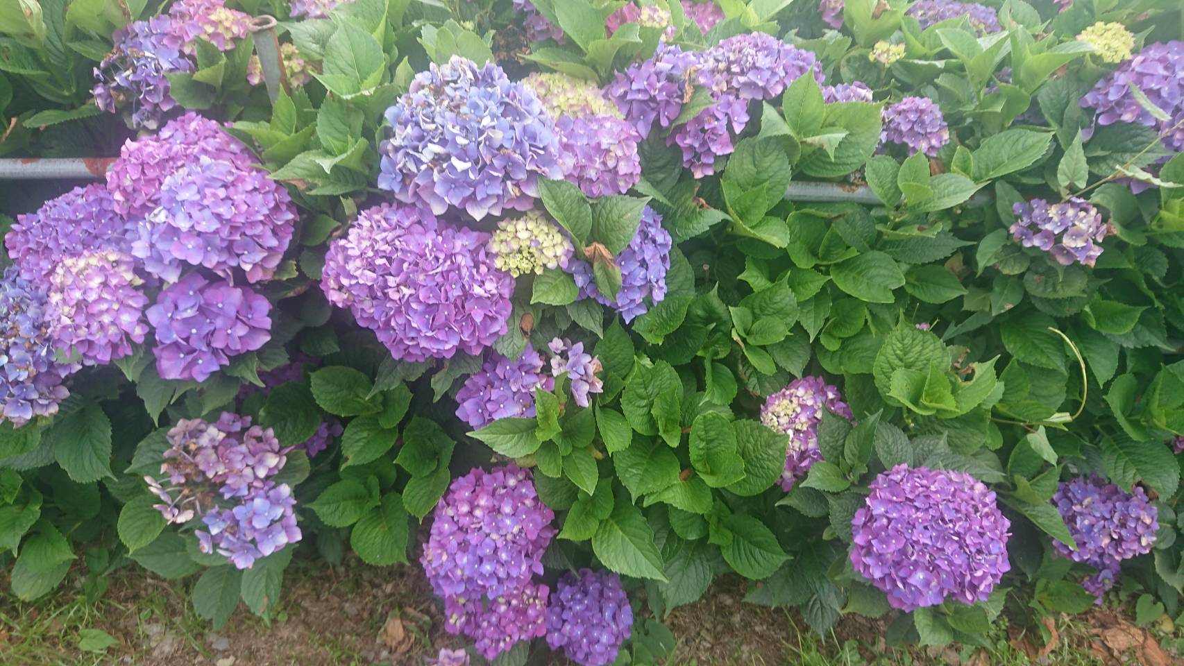 俠雲山莊6