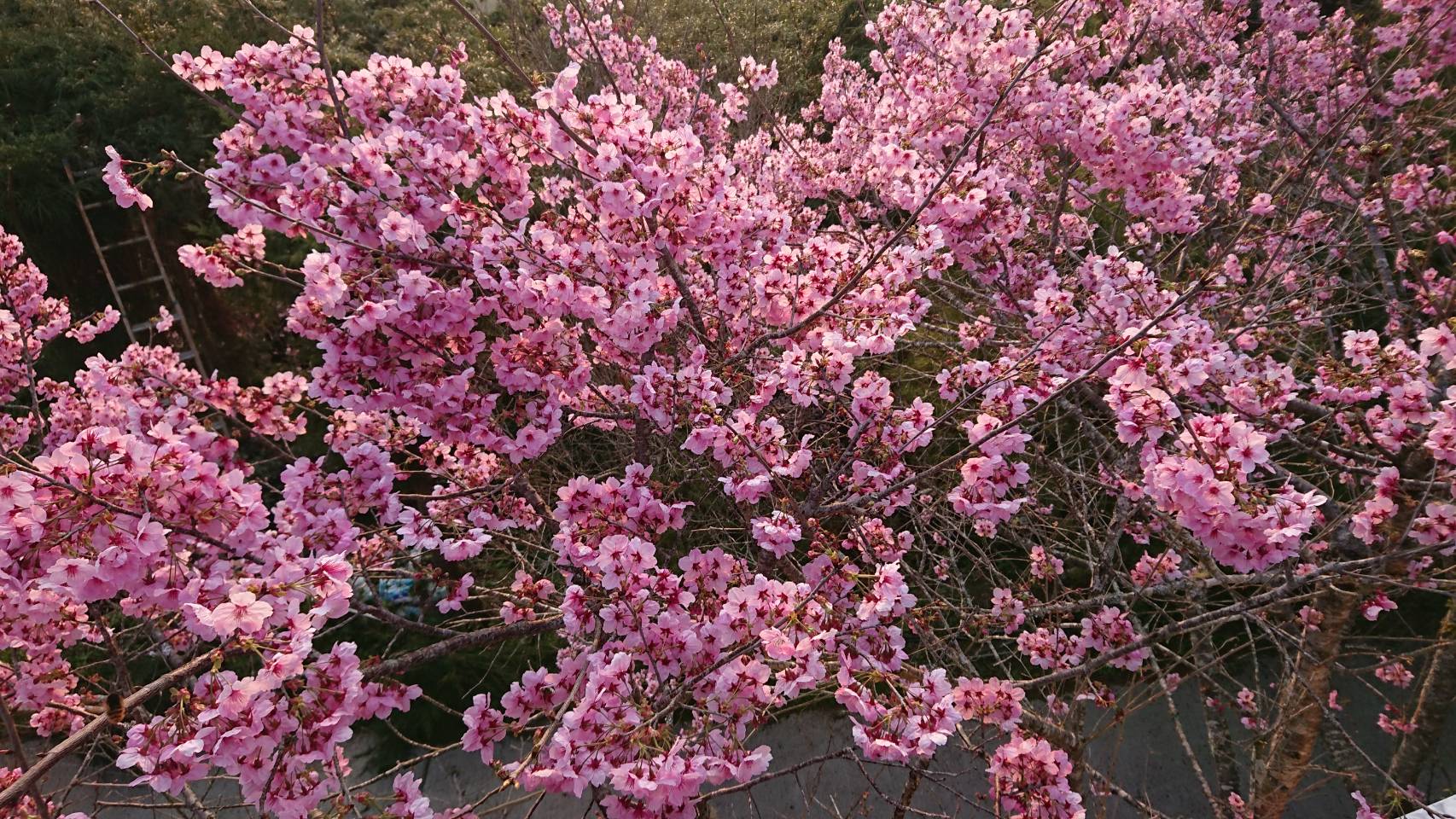 俠雲山莊3