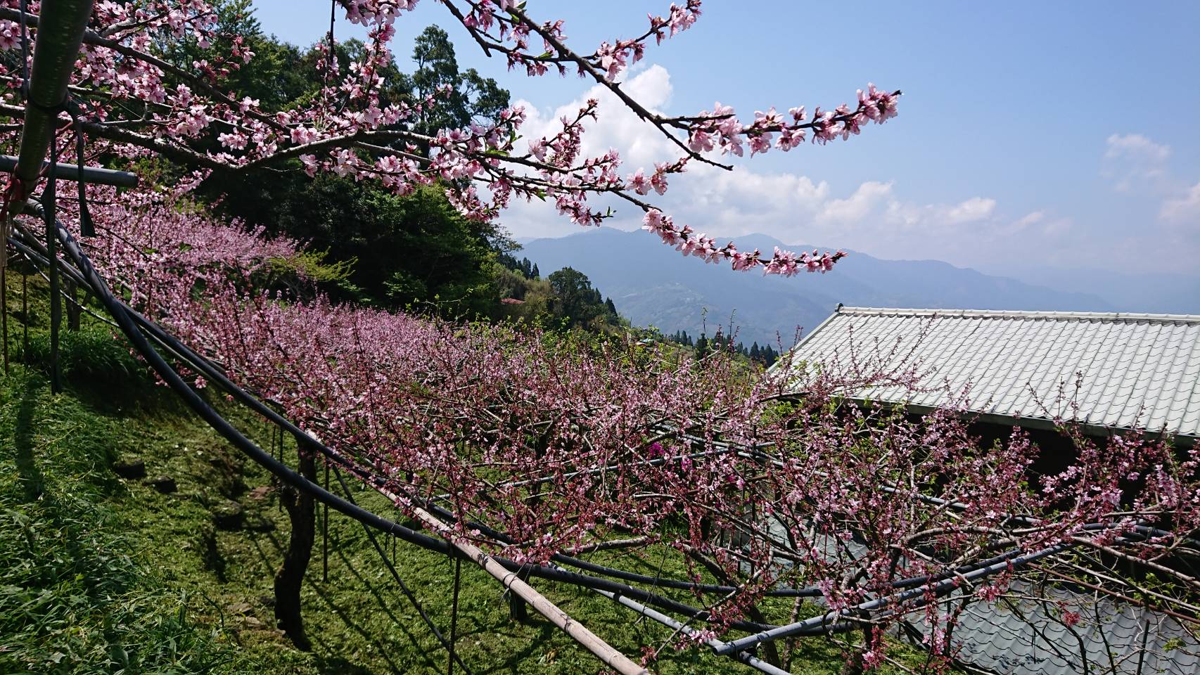 俠雲山莊4