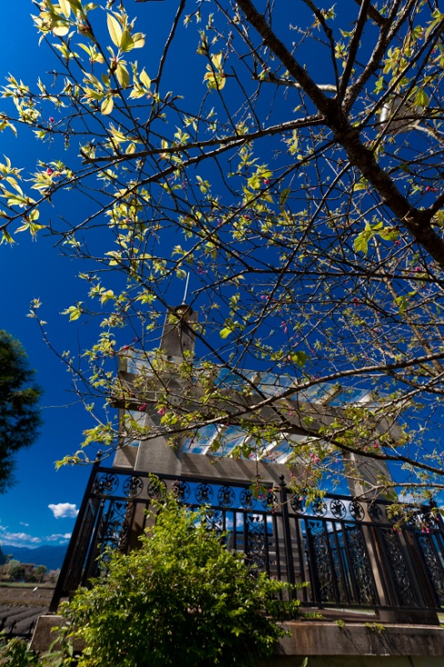 艾麗絲泉民宿-天送埤別館-2