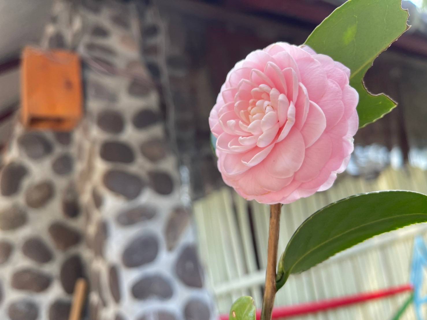 隱峇里山莊16