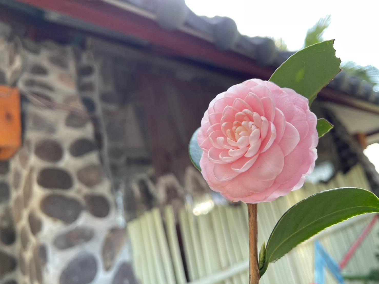 隱峇里山莊15