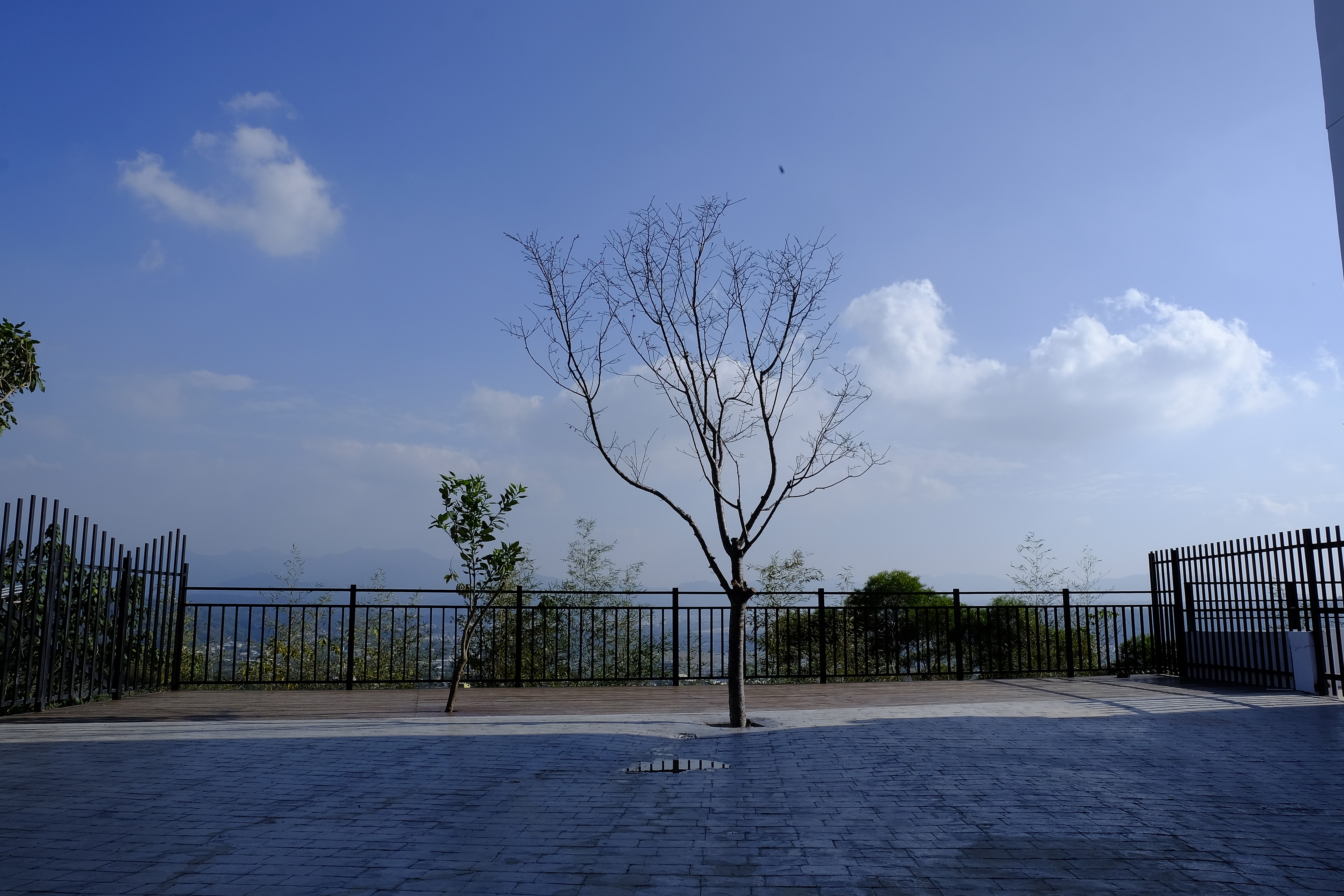 雲山初露1