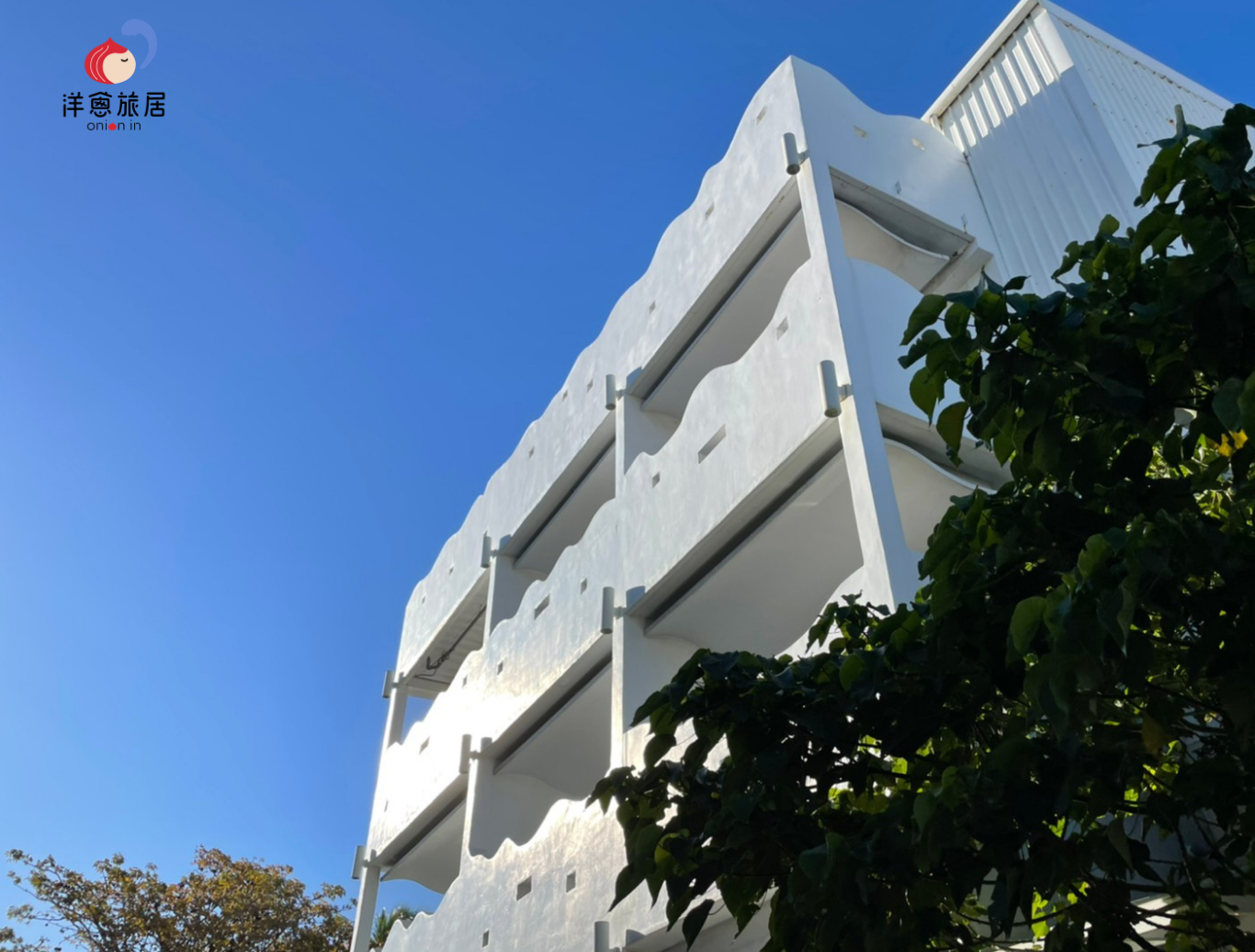 洋蔥生活旅居onion in民宿8