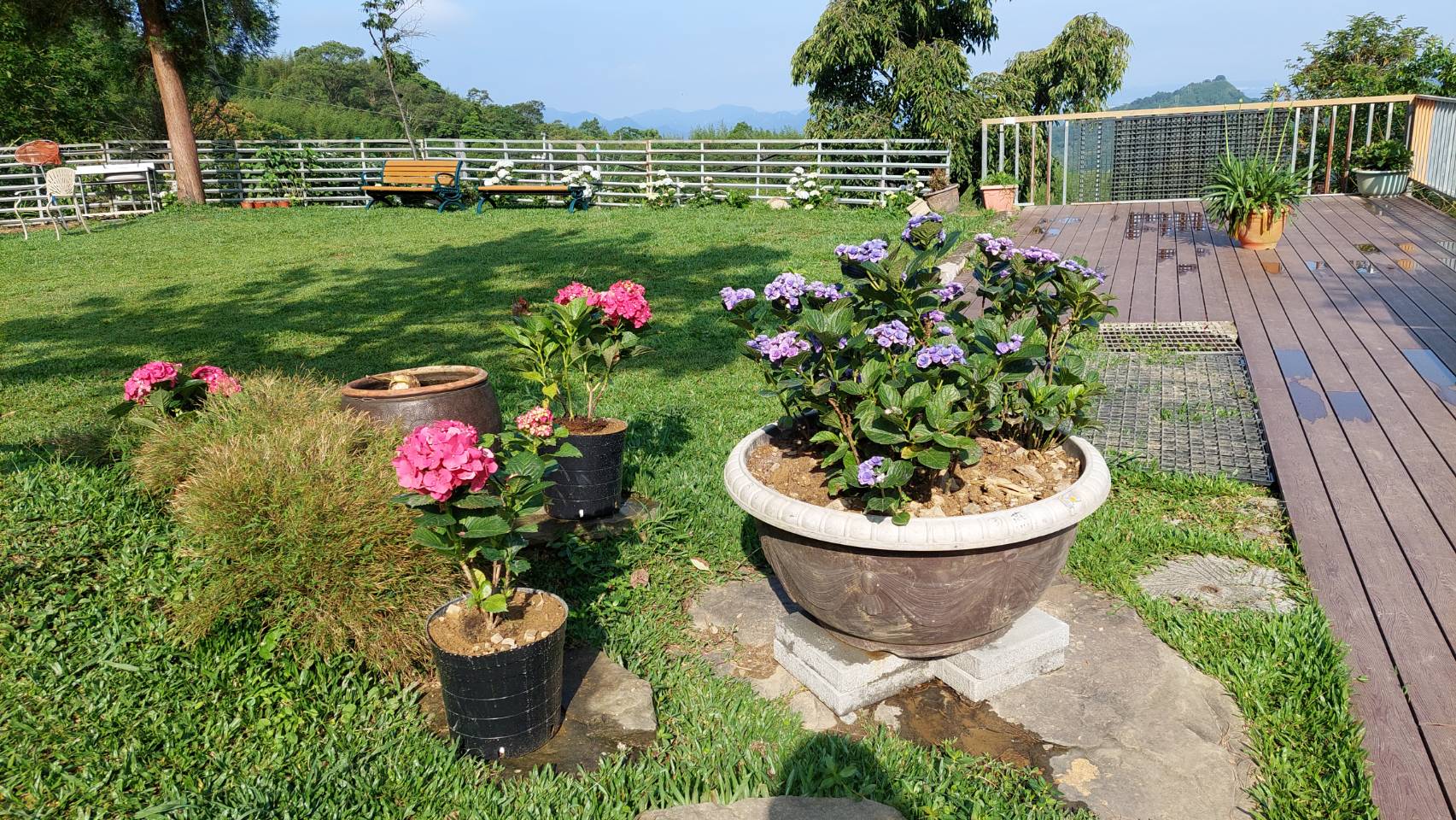 新櫻花莊園1