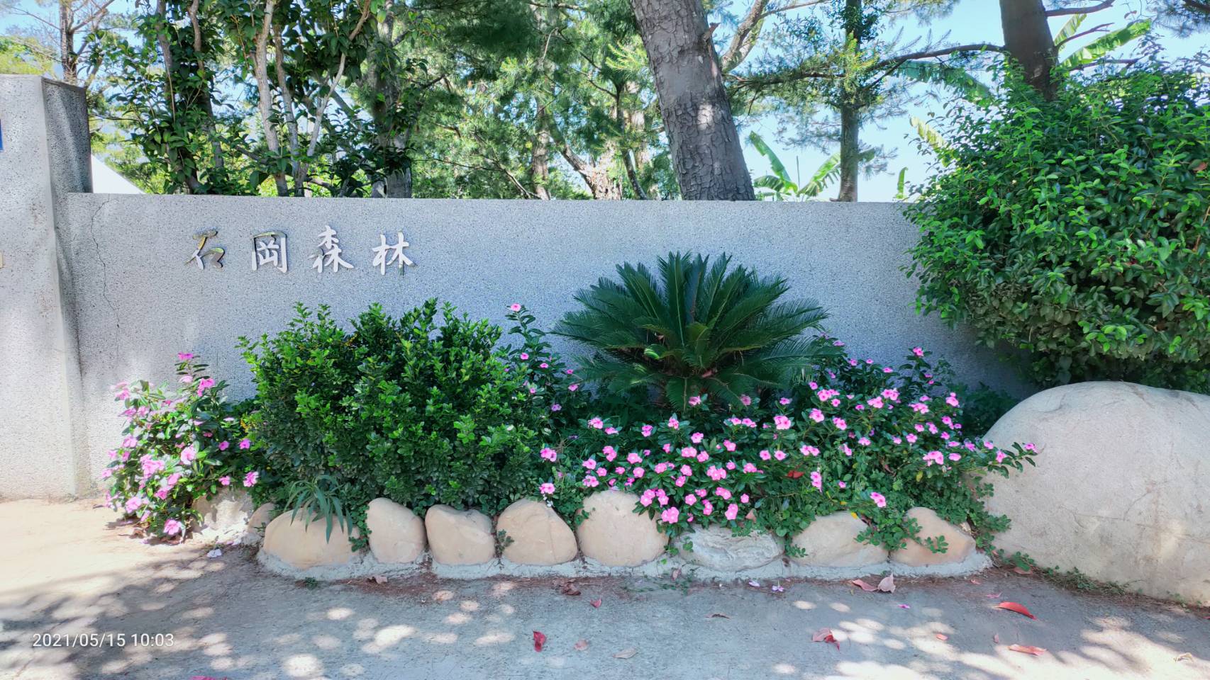石岡森林53