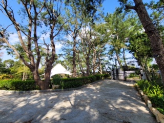 石岡森林1