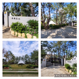 石岡森林41
