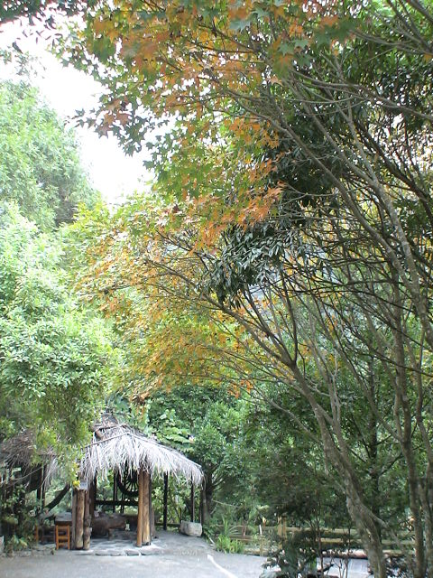 紅瓦厝山居民宿2