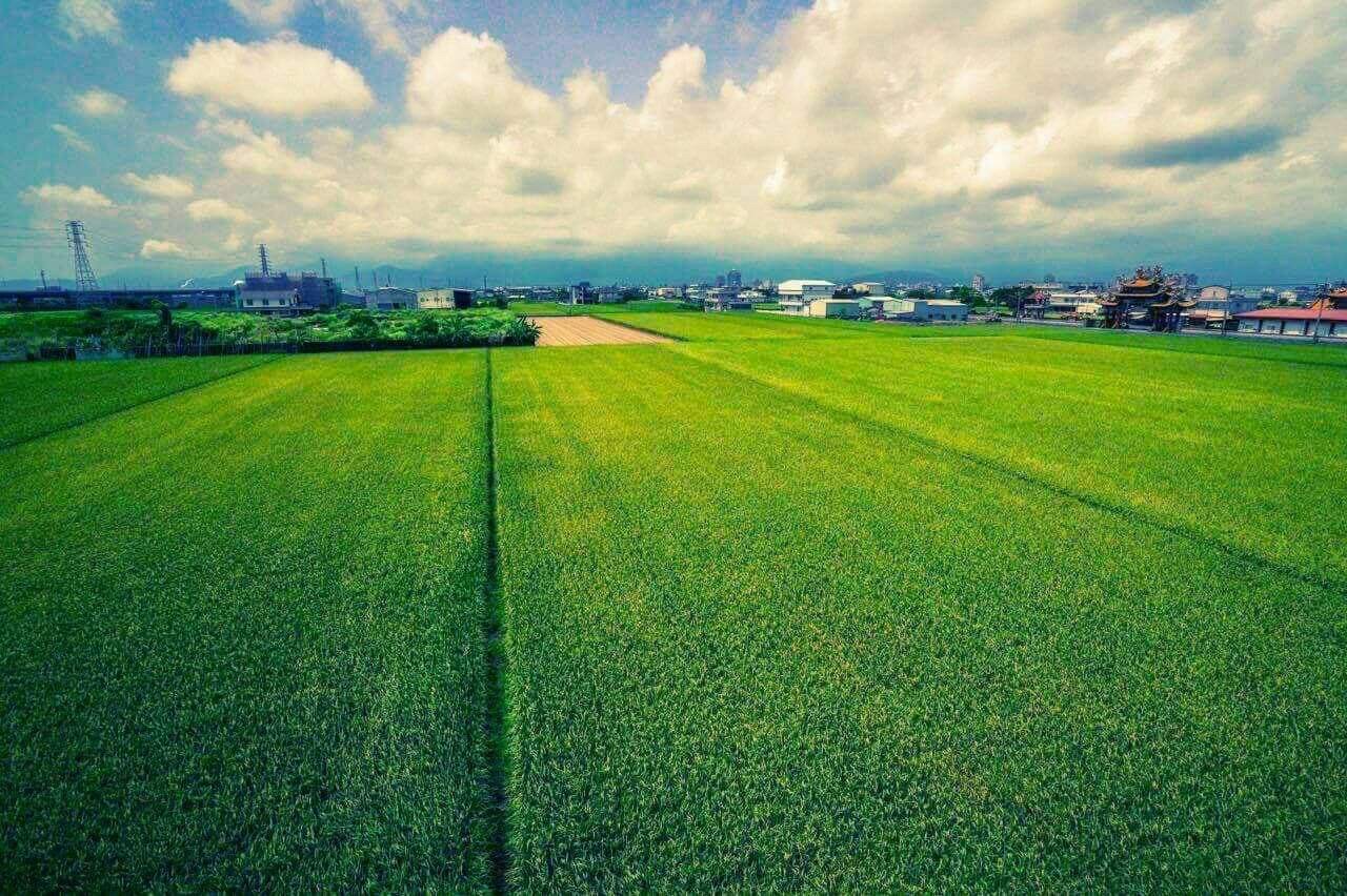 宜蘭幸福青鳥民宿-2