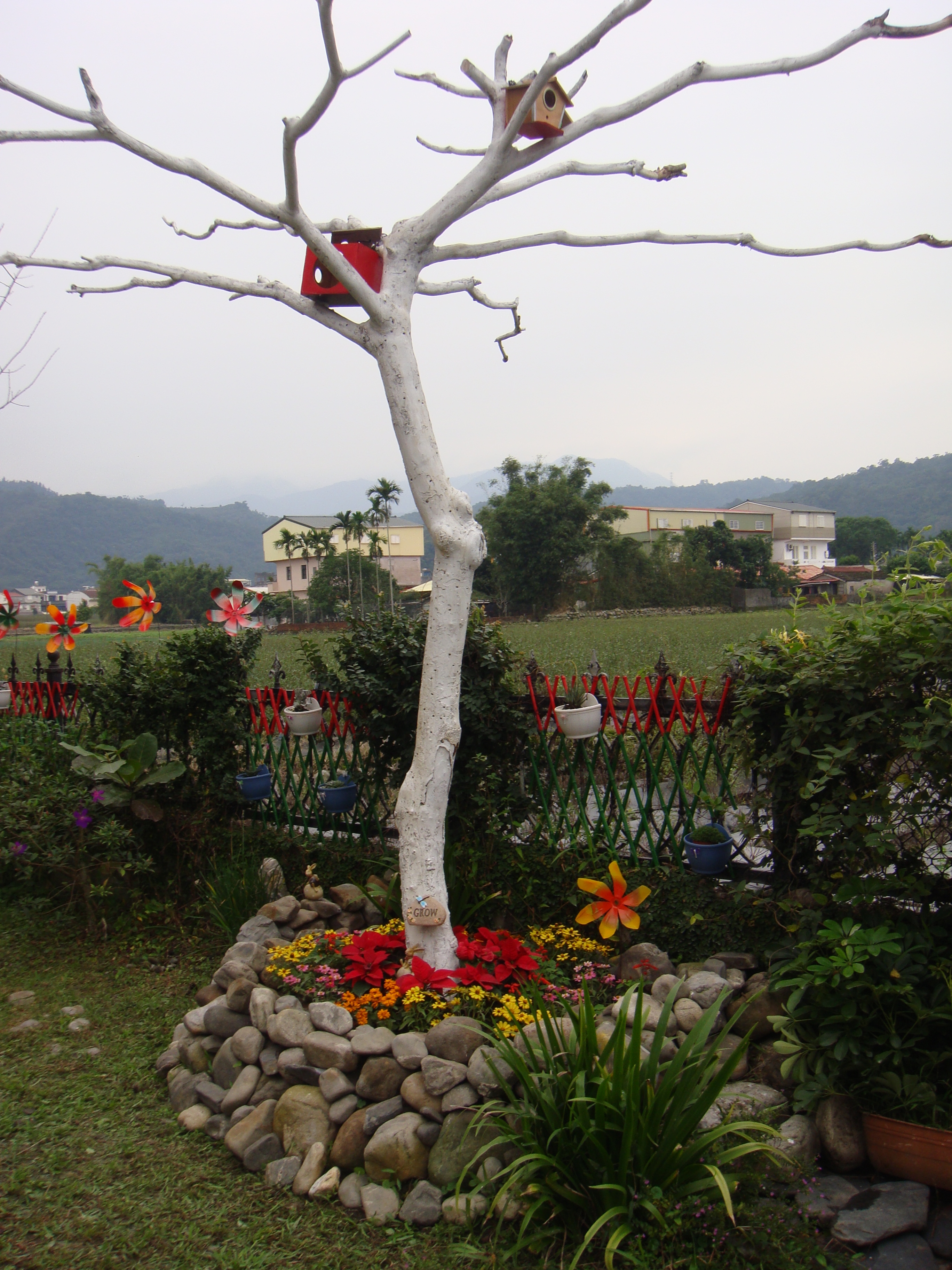 艾麗絲泉民宿-天送埤別館-3