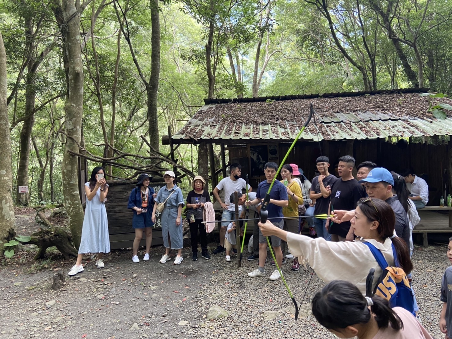 山蘇的故鄉3