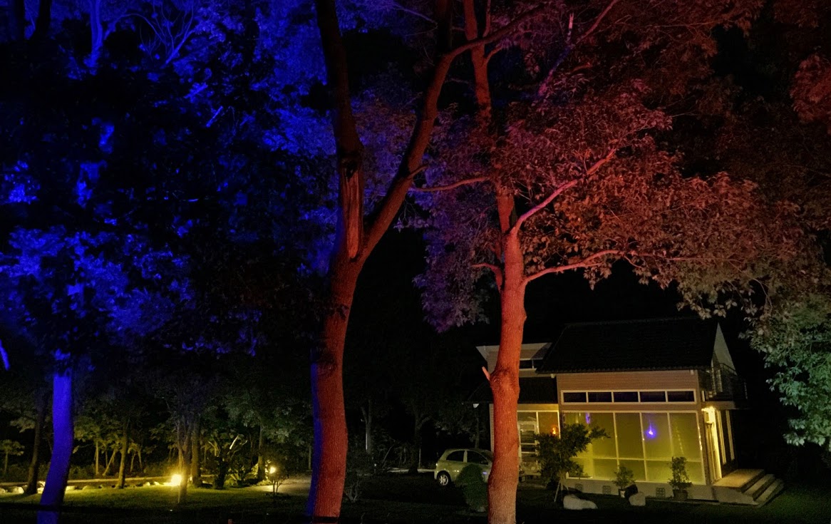 綠舍茶宿民宿-1