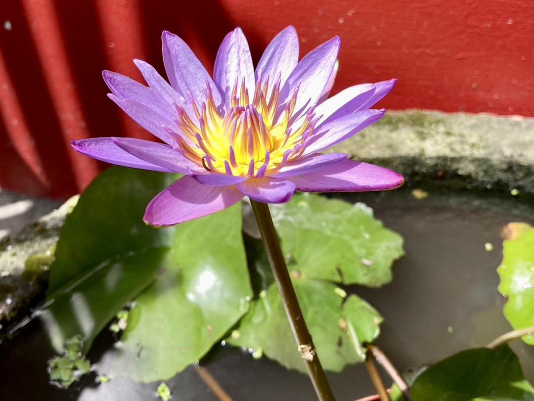 心適都蘭民宿1