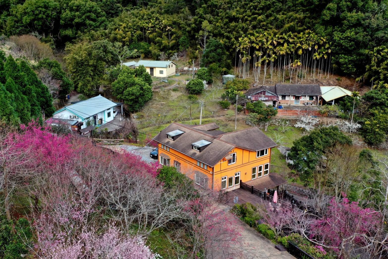 穆月樓民宿4