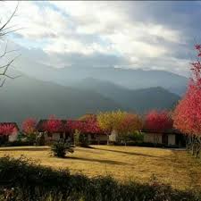 印象.泰雅渡假民宿1