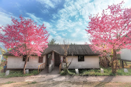 印象.泰雅渡假民宿2