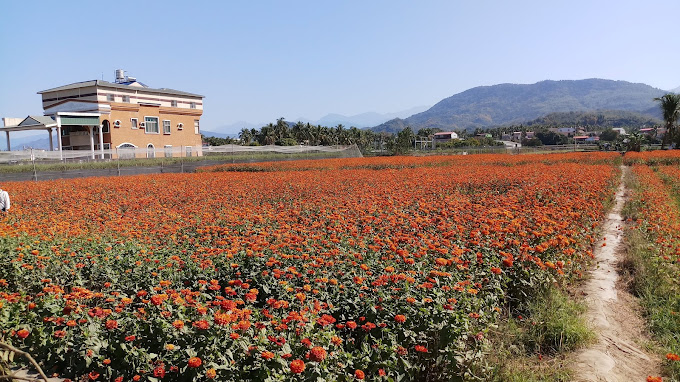 田莊民宿-1