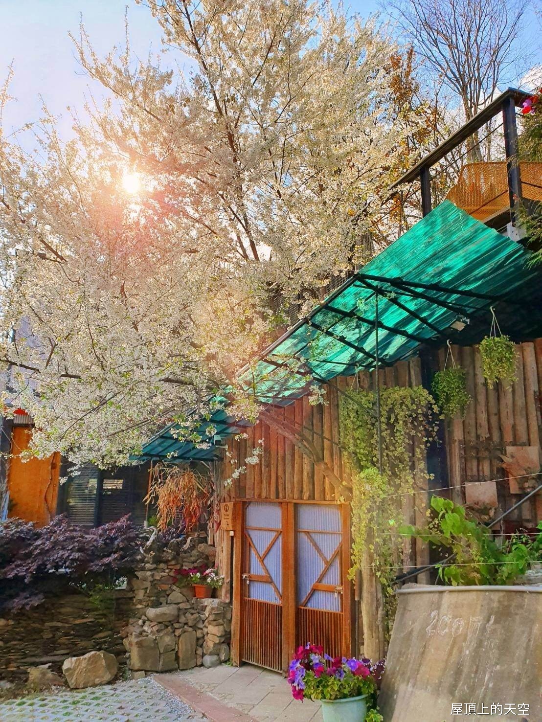 屋頂上的天空14