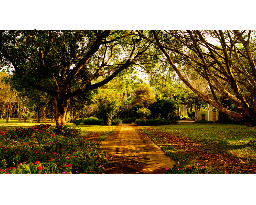 秘密花園設計villa8