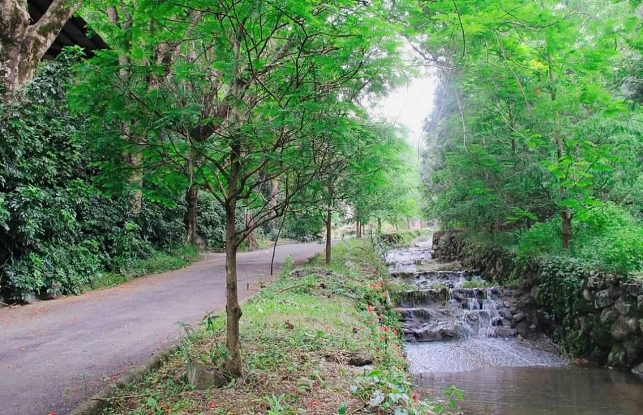 泰雅渡假村24