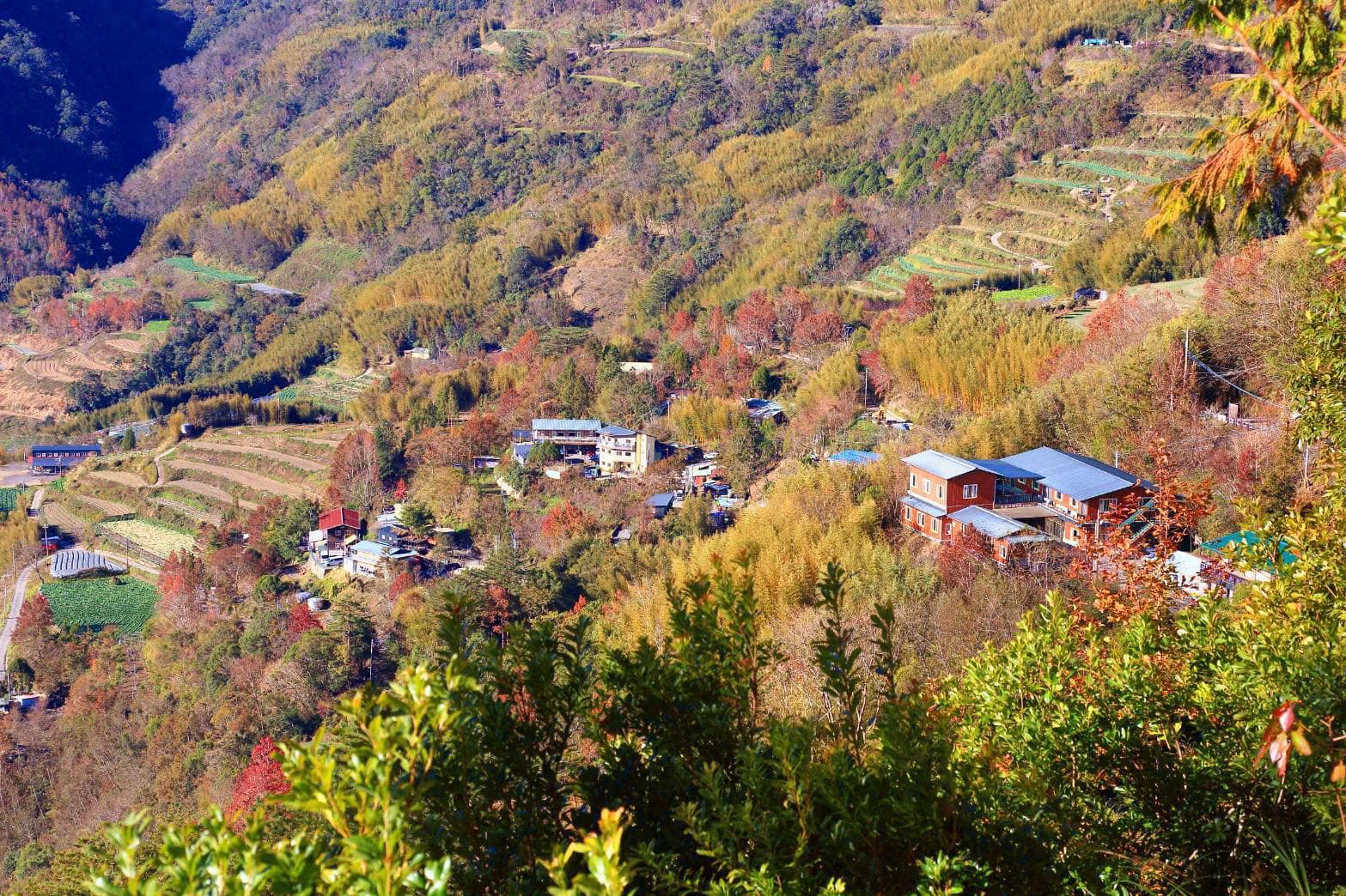 鎮西堡波塔休閒民宿5