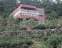 閒雲居民宿1
