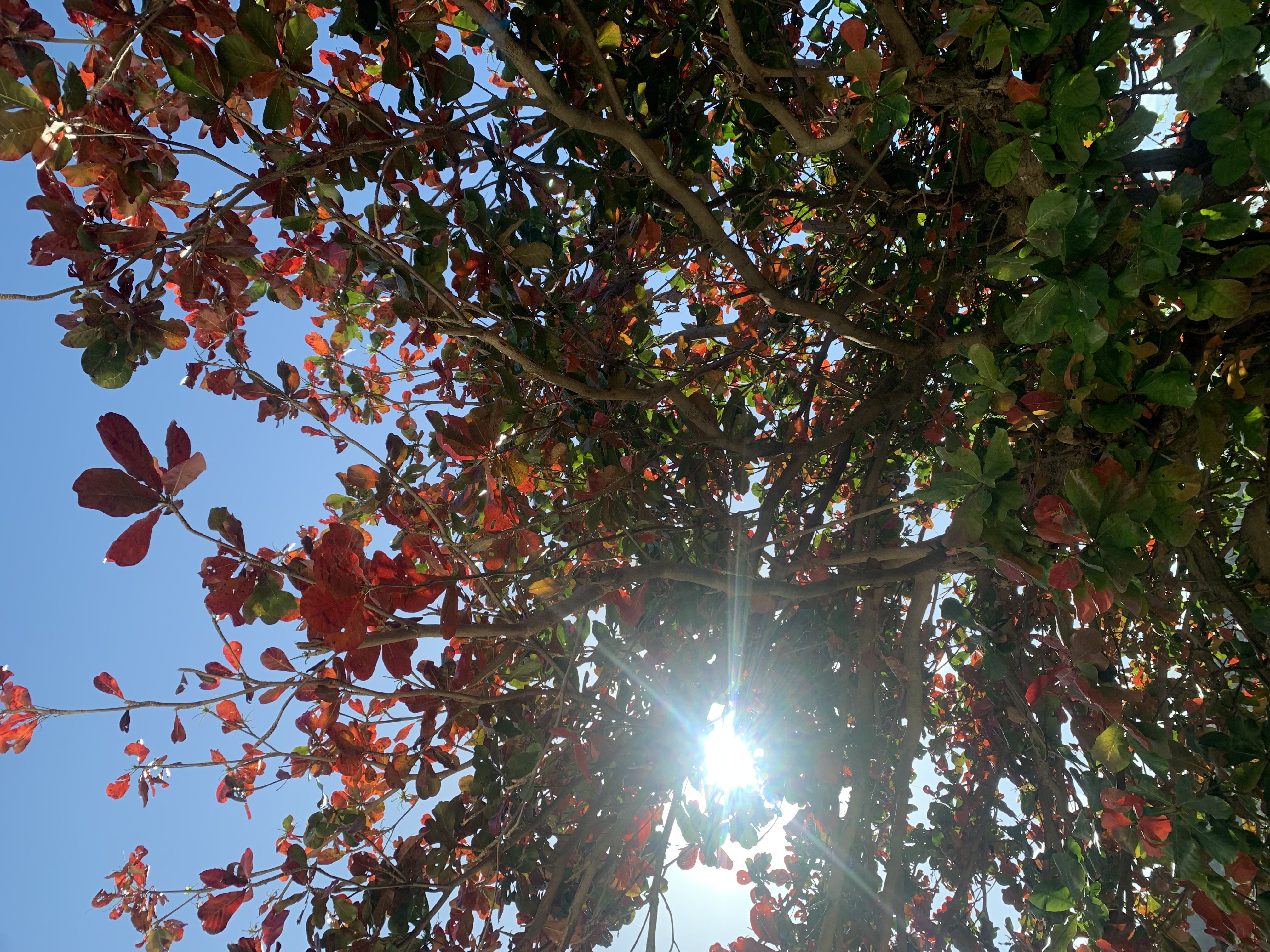 恆春山海潛水旅宿-4