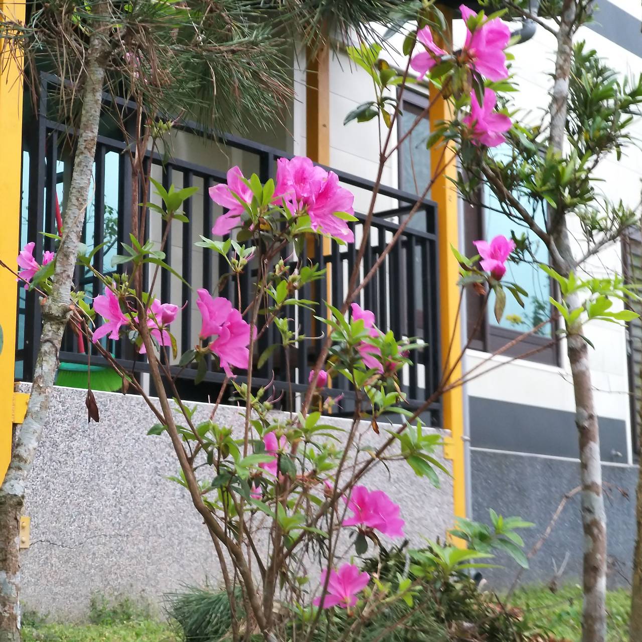 福田居民宿11