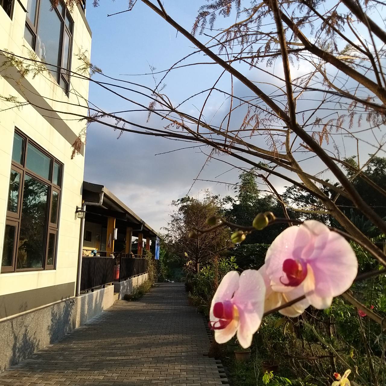 福田居民宿12