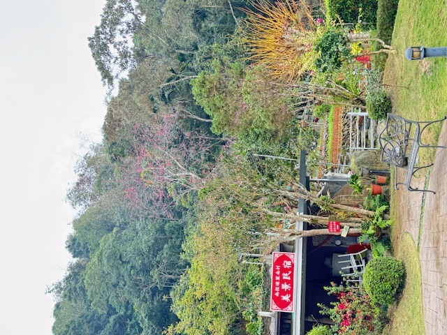 美景民宿-2