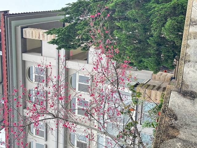 美景民宿-3