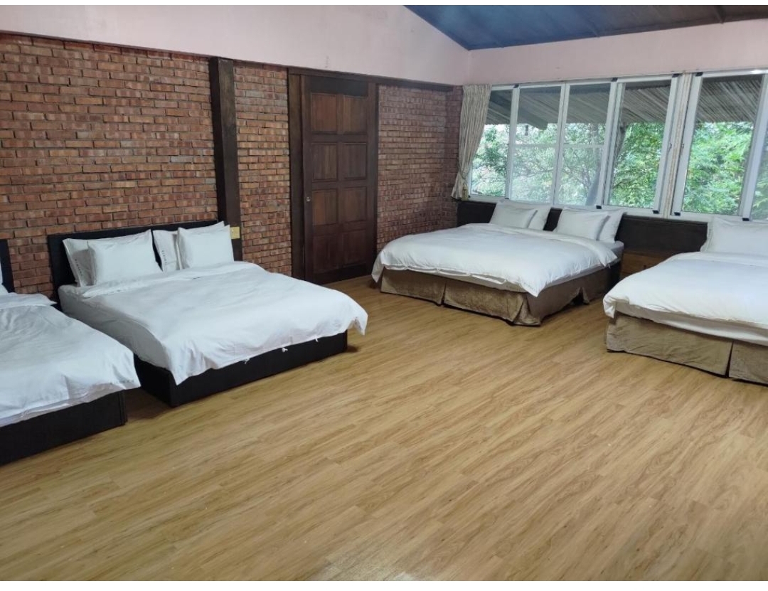 愛上龍過脈民宿1