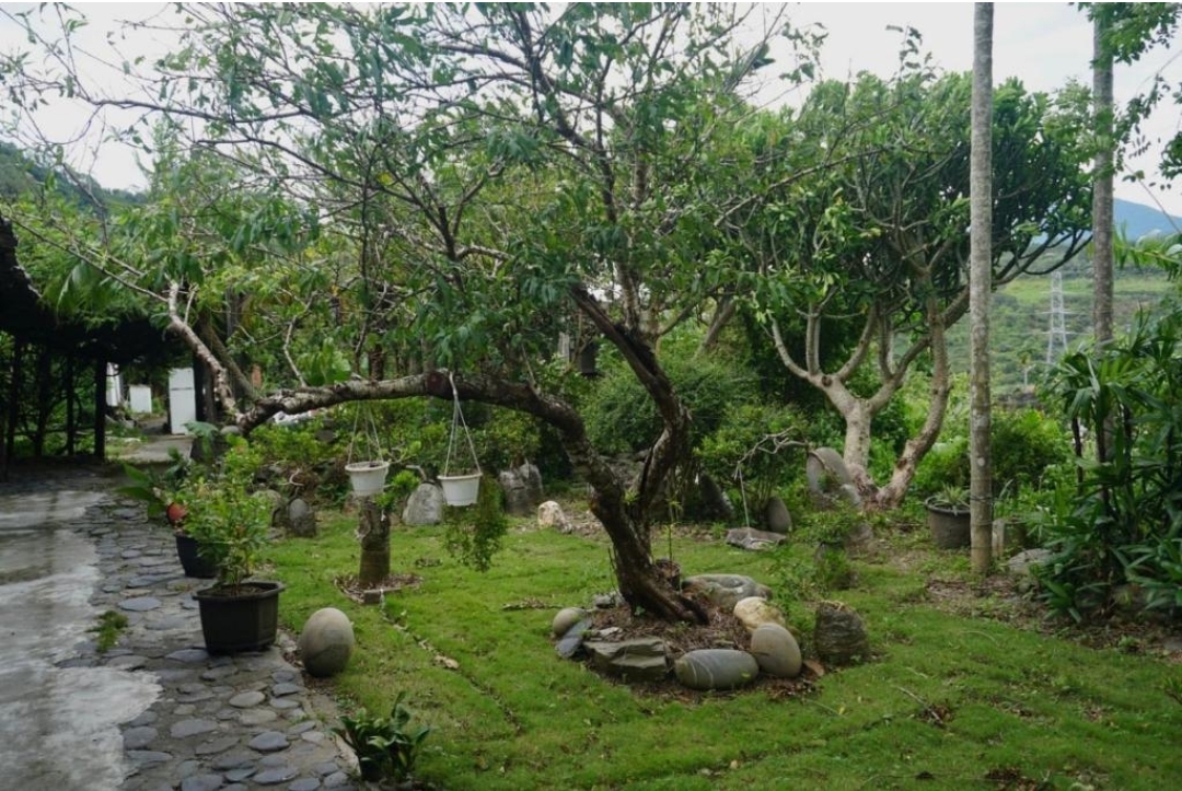 愛上龍過脈民宿21