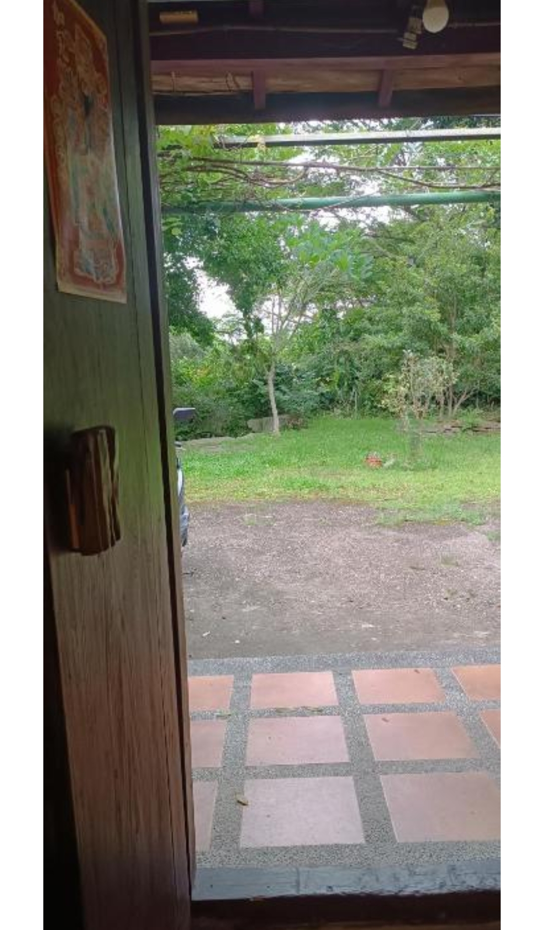 愛上龍過脈民宿15