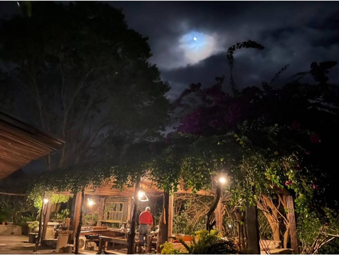 愛上龍過脈民宿11