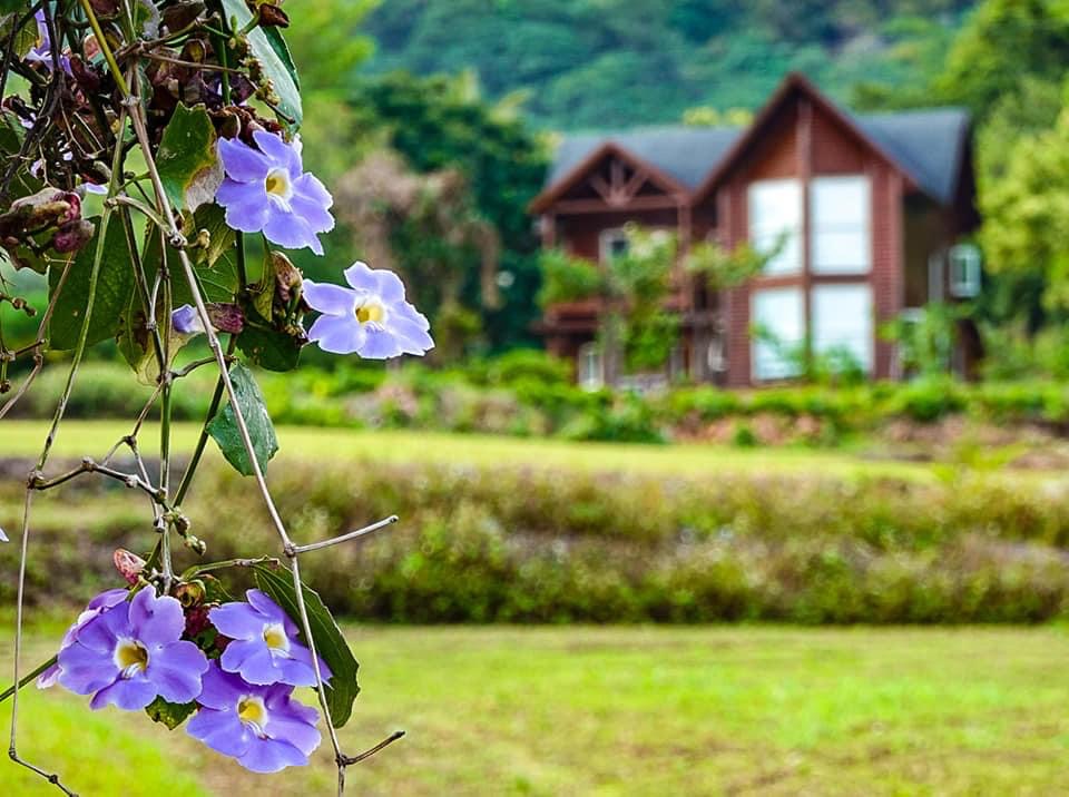 小馬灣民宿9