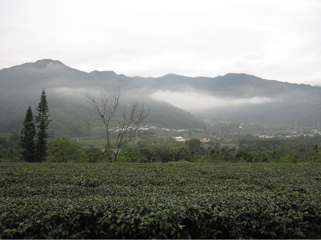 高台民宿-3