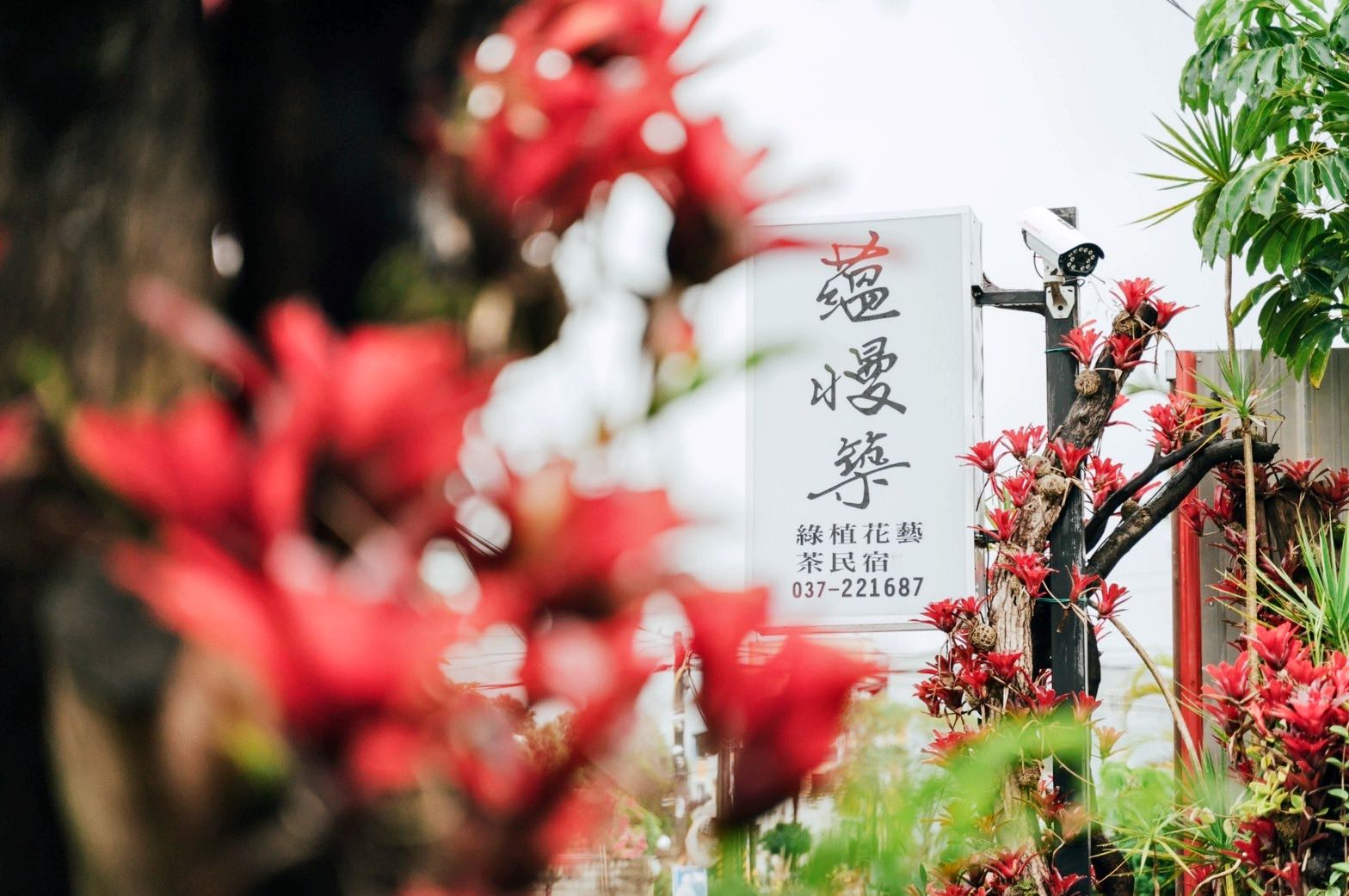 蘊慢築民宿1