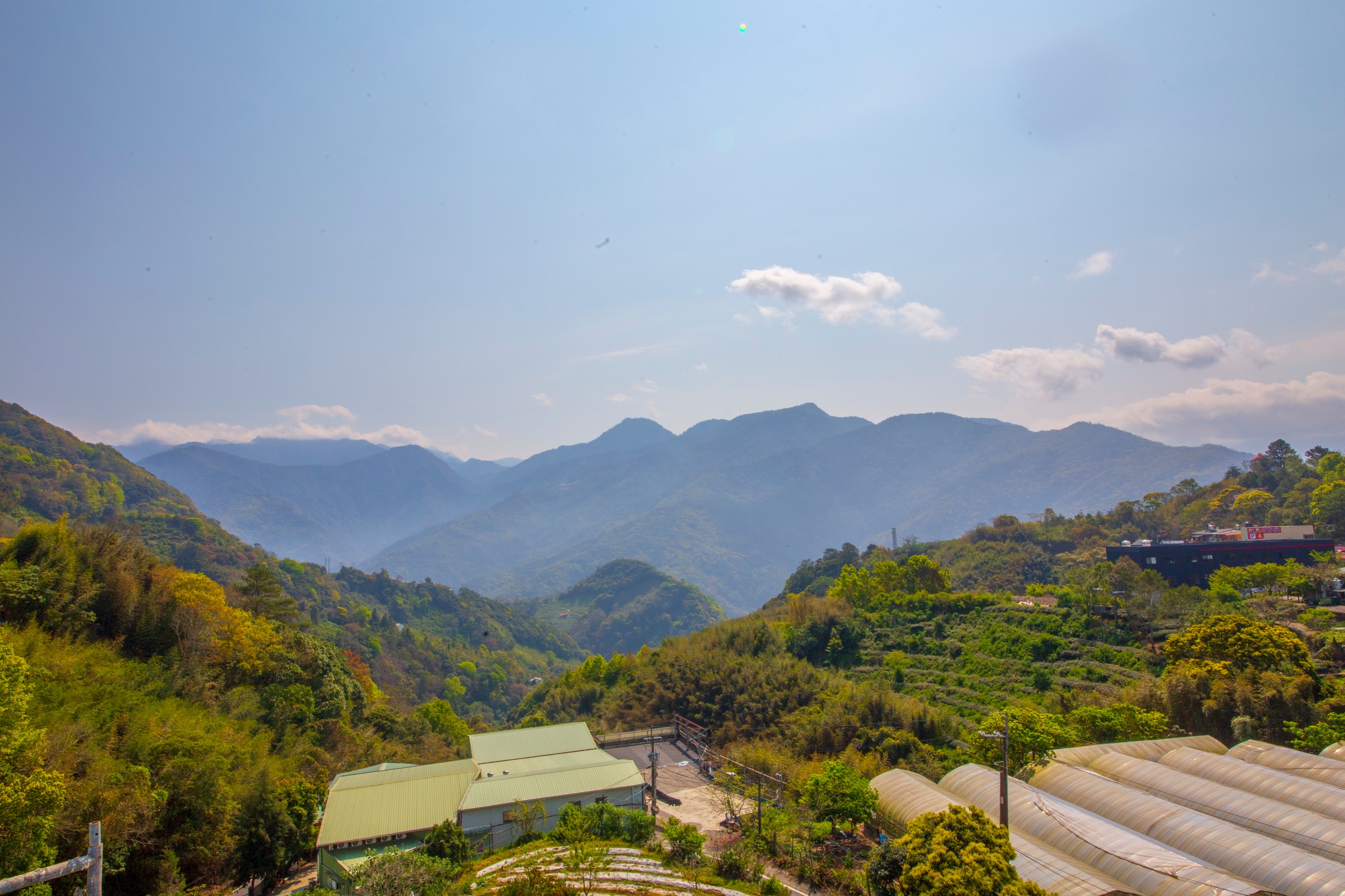 清境依山舞林民宿5