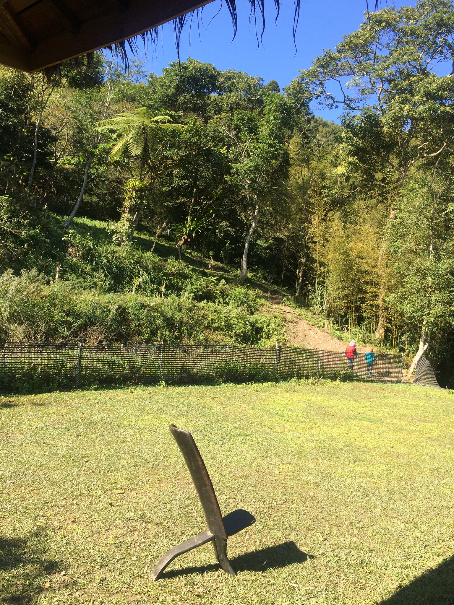 茶屋近景 View from Tea House