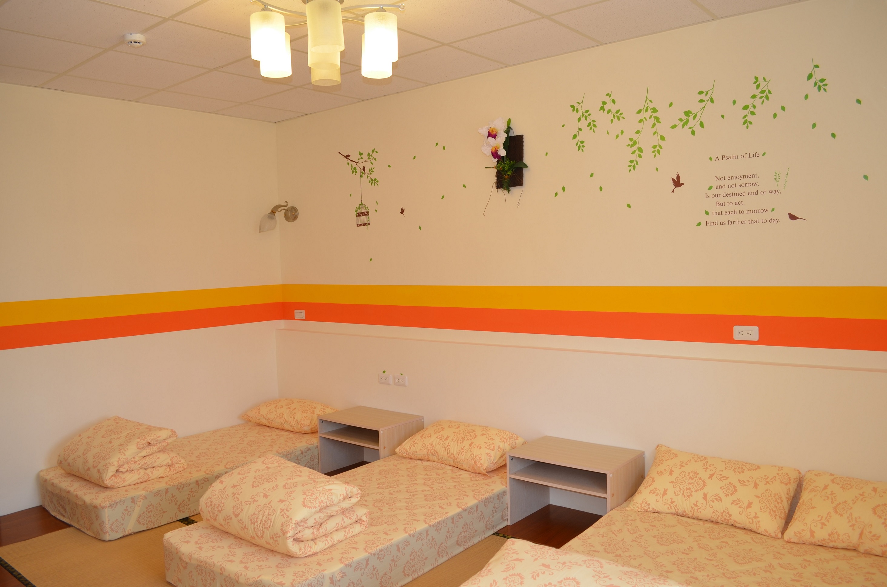 阿羅國際青年旅舍民宿1