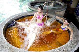 嘉賓莊溫泉旅社2